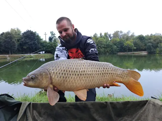 Fangfoto 121 von 150 vom Mongo-Teich