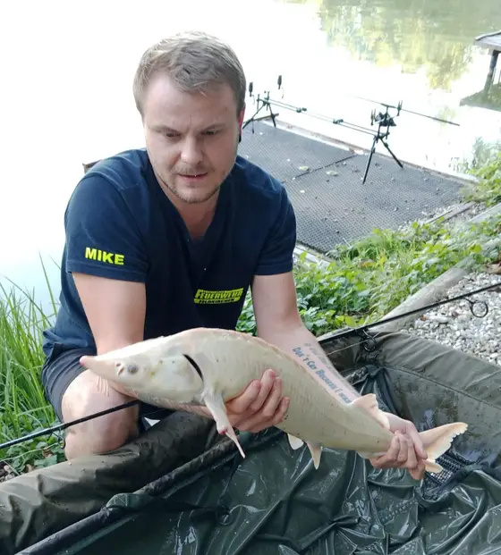 Fangfoto 11 von 150 vom Mongo-Teich