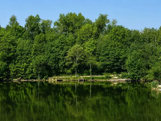 Angelplätze 22–25 (Zeckenbucht) am Mongo-Teich