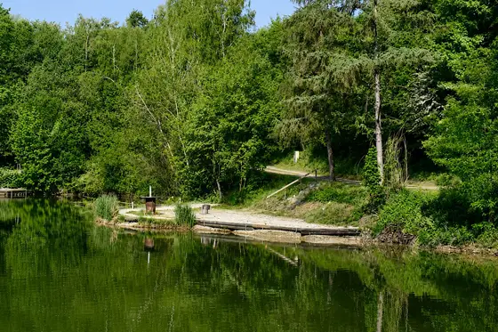 Angelplätze 27–31 (Insel) am Mongo-Teich