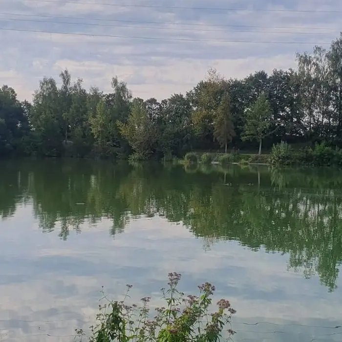 Ruhige Wasserspiegelung am Mongo-Teich