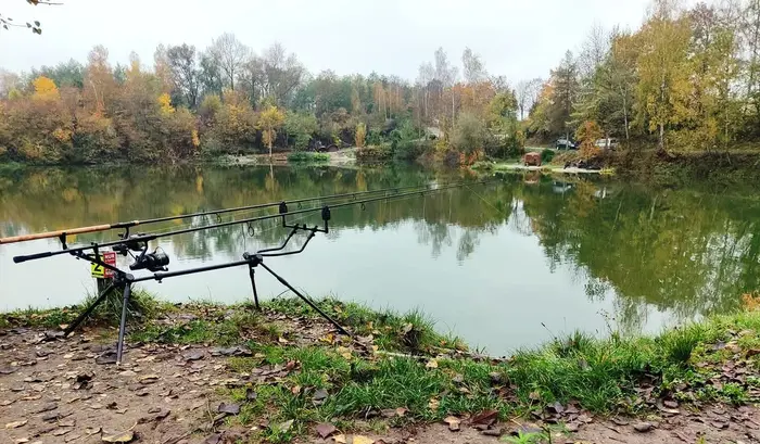 Angelplatz mit Ruten am herbstlichen Mongo-Teich