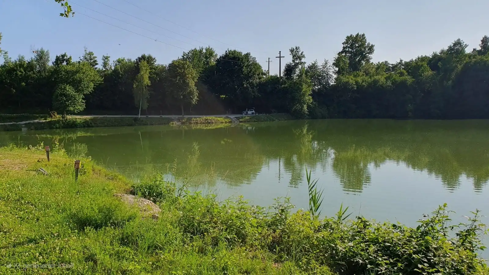 Sommerlicher Blick über den Mongo-Teich