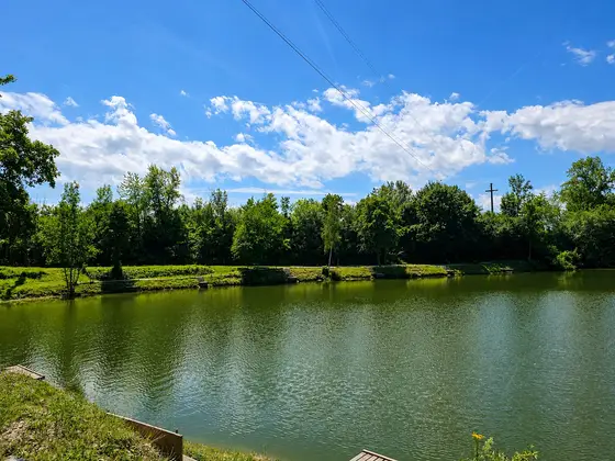 Blick über den Mongo-Teich in Gundholling (Bild 3)