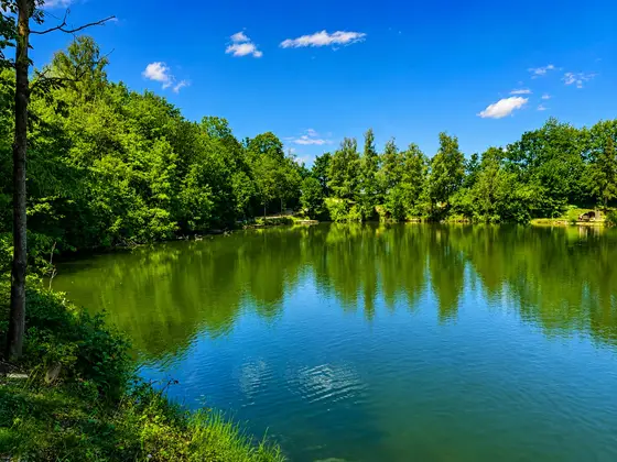 Blick über den Mongo-Teich in Gundholling (Bild 5)