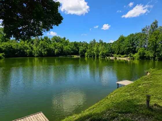 Blick über den Mongo-Teich in Gundholling (Bild 6)