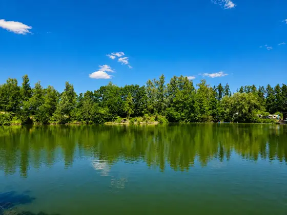 Blick über den Mongo-Teich in Gundholling (Bild 7)